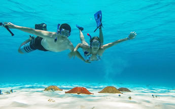 Tour de snorkel Tulum